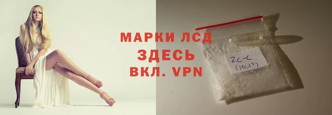 индика Нея