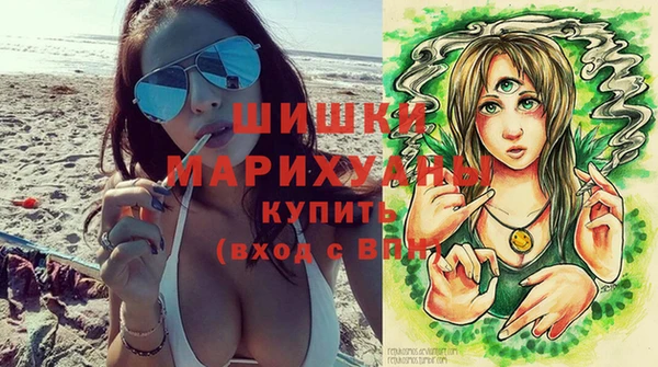 индика Нея