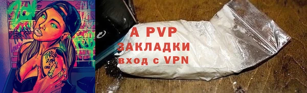 индика Нея