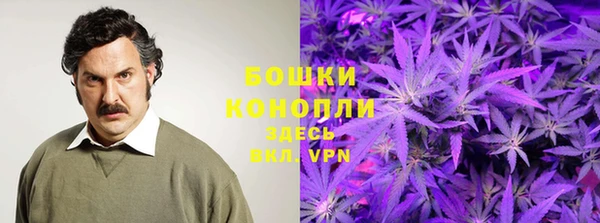 индика Нея