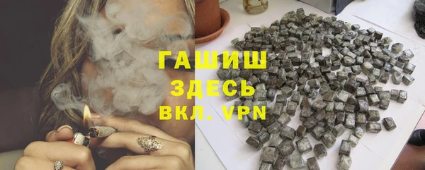 индика Нея