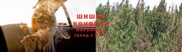 индика Нея