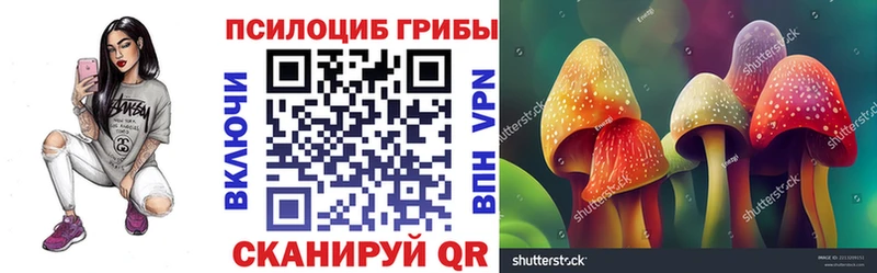 гидра tor  Балаково  Псилоцибиновые грибы мицелий 