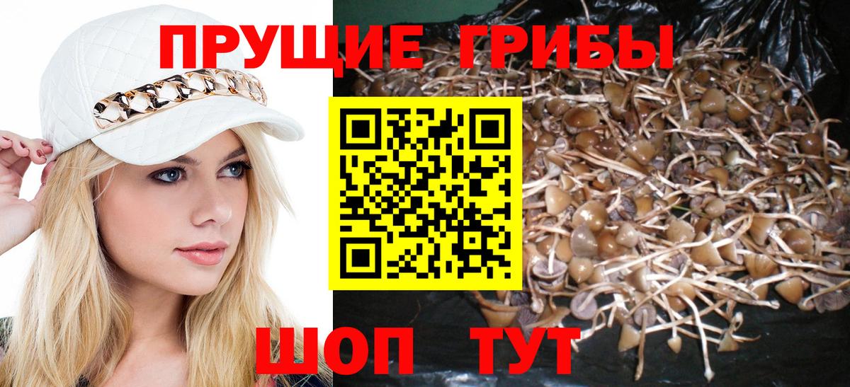 Балаково  Галлюциногенные грибы Magic Shrooms  Вход с VPN 